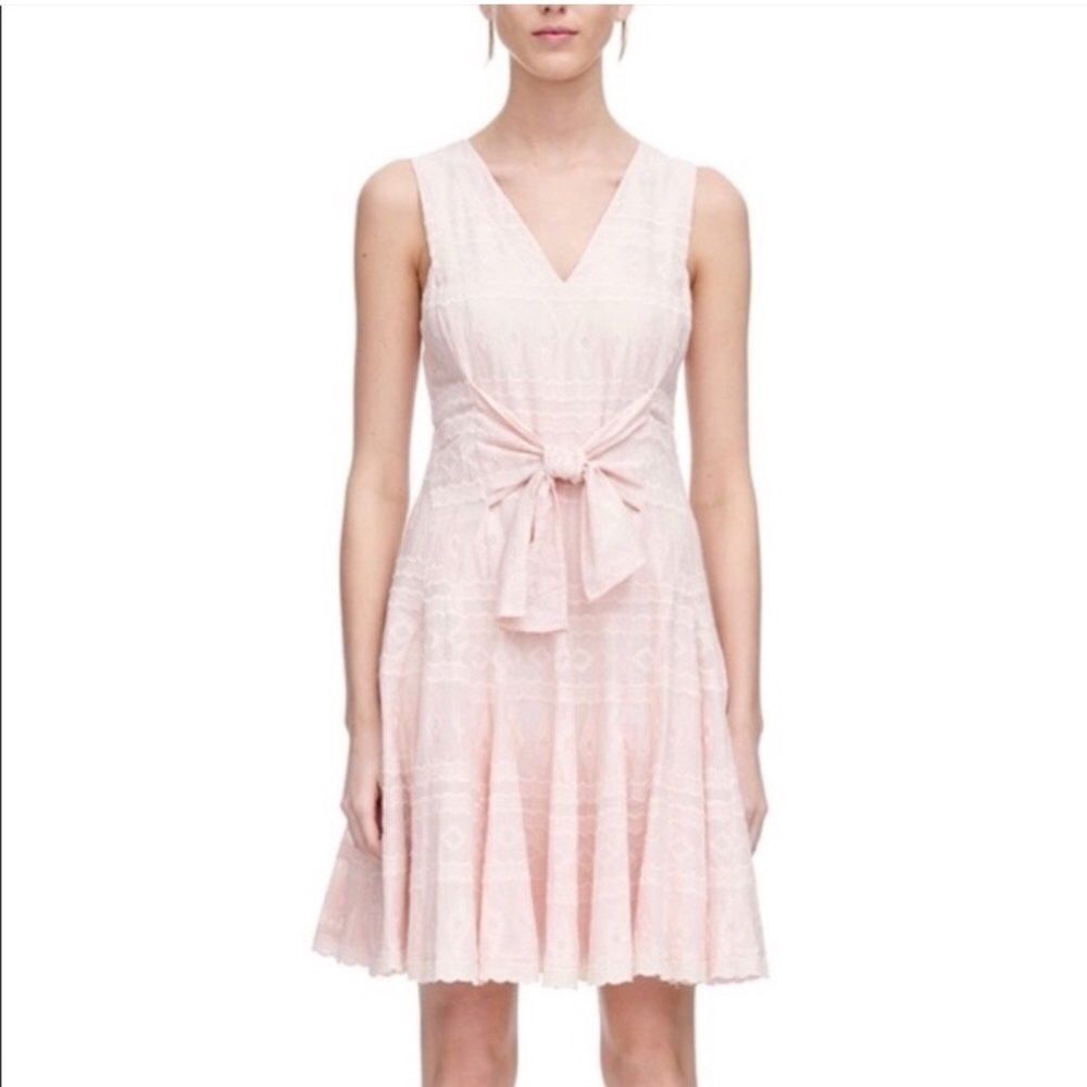 Rebecca Taylor Embroidered Blush Fit and Flare Flirty Cotton Sleeveless Dress